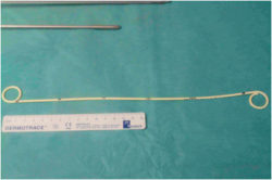 sonde-jj